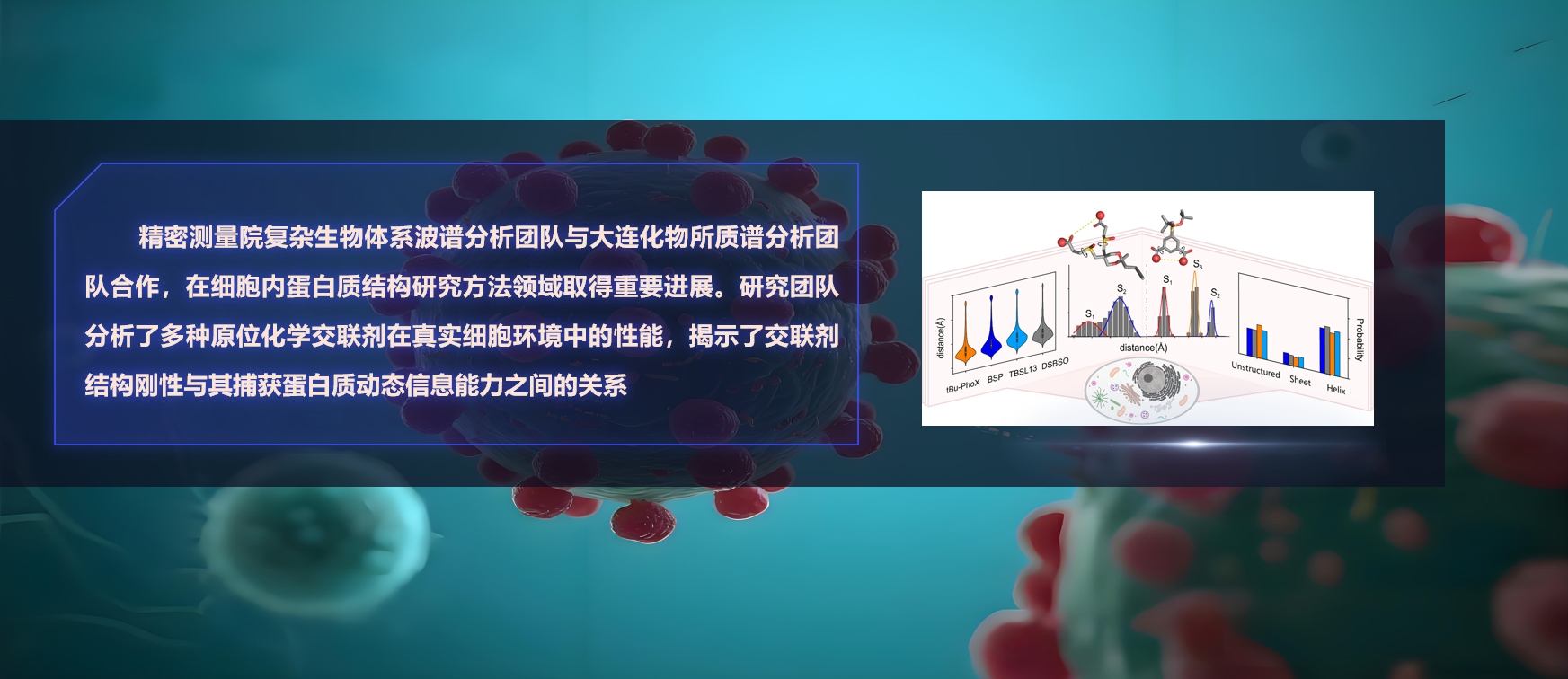 精密测量院在细胞内蛋白质结构研究方法领域取得重要进展