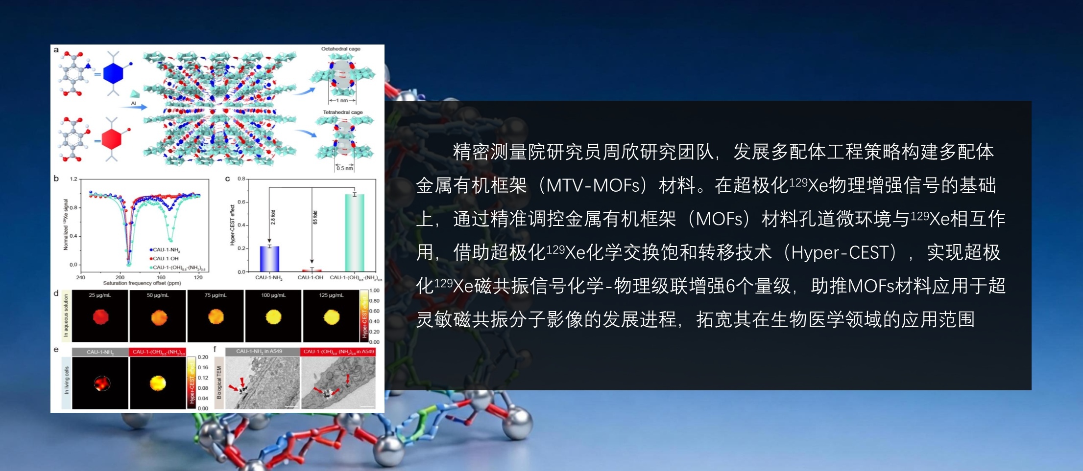 精密测量院在多配体金属有机框架助力超灵敏磁共振分子影像研究方面取得重要进展